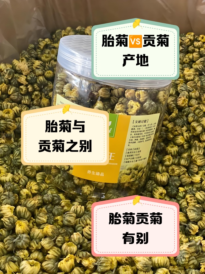 贡菊茶的功效与作用及食用方法