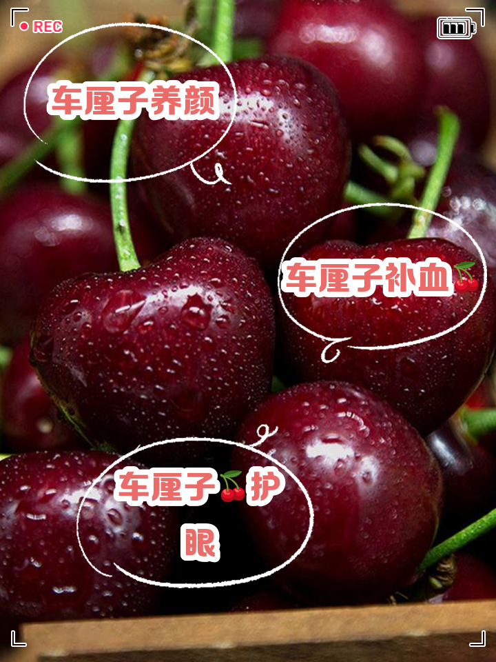 鲁大师
